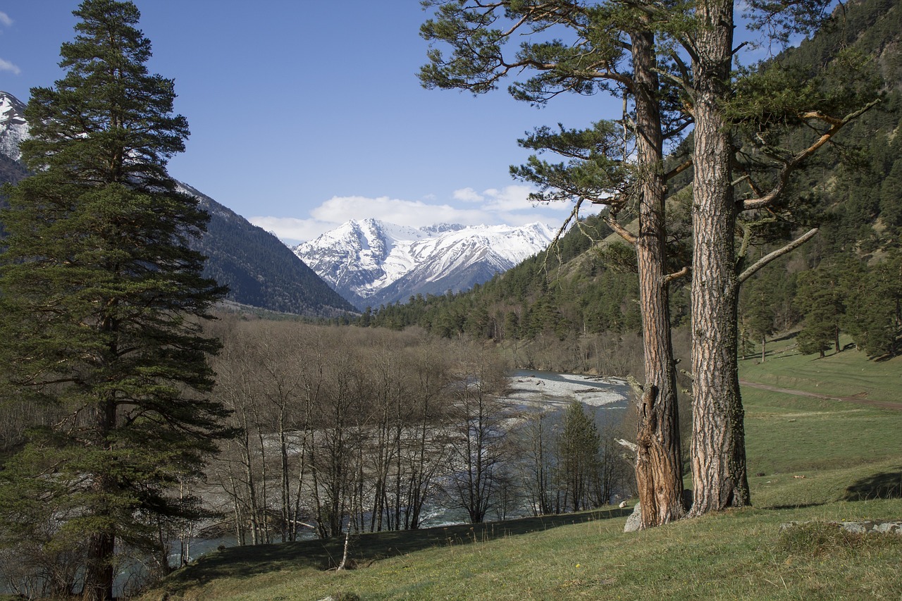 Discovering the Beauty of the Columbia River Gorge